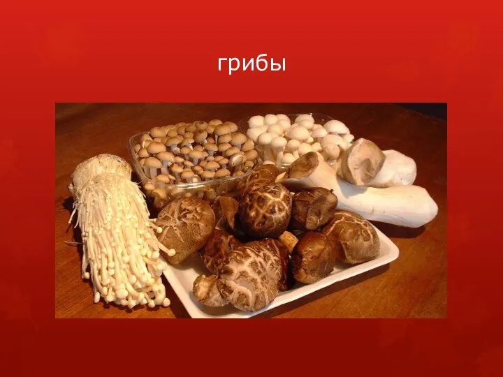 грибы