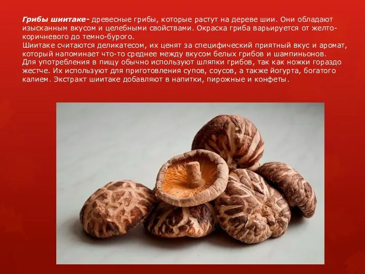 Грибы шиитаке- древесные грибы, которые растут на дереве шии. Они обладают