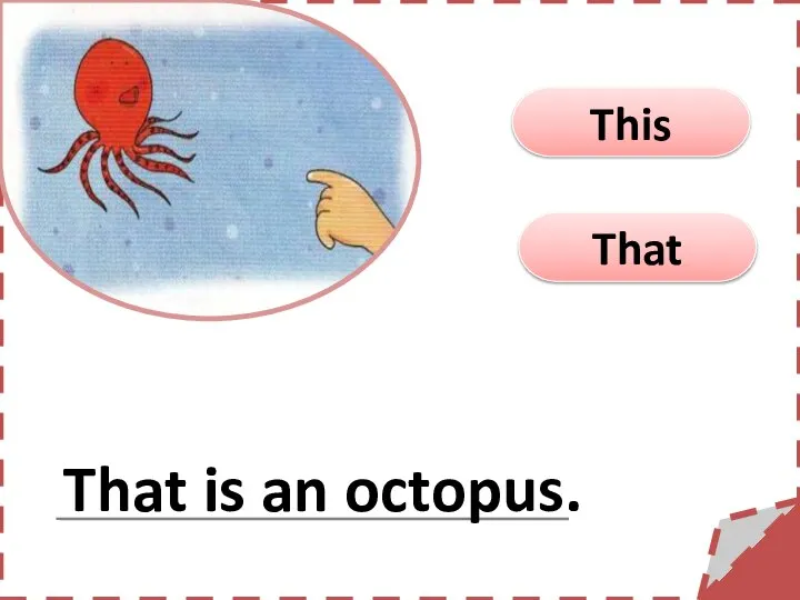 That This That is an octopus.