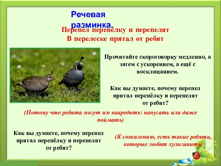 Речевая разминка. Перепел перепёлку и перепелят В перелеске прятал от ребят