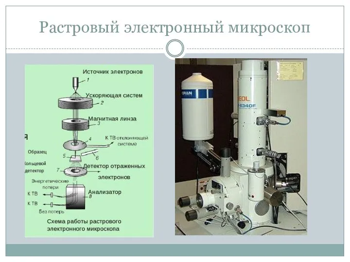 Растровый электронный микроскоп