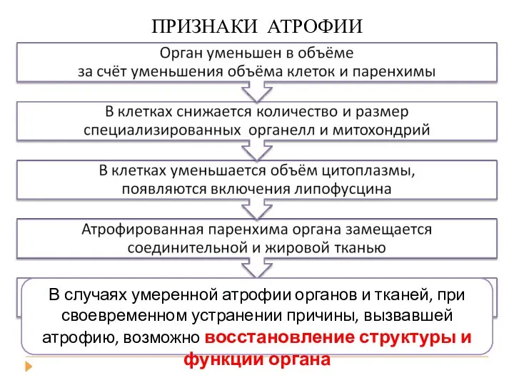 АТРОФИЯ и СКЛЕРОЗ органа ПРИЗНАКИ АТРОФИИ В случаях умеренной атрофии органов