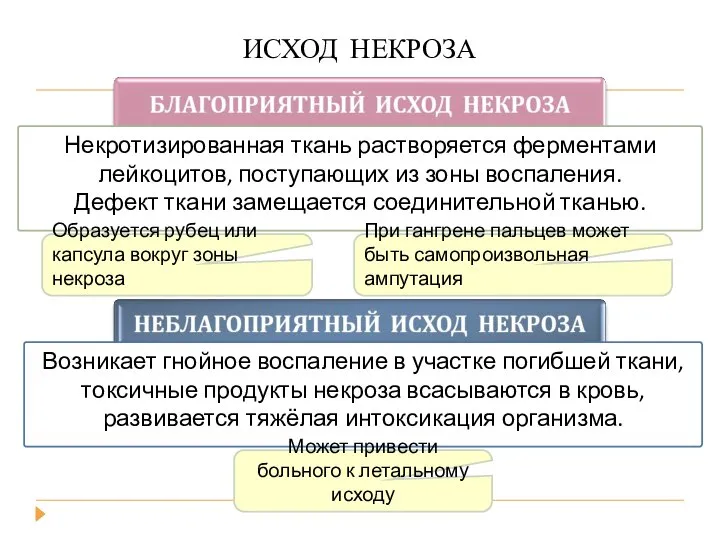 Некротизированная ткань растворяется ферментами лейкоцитов, поступающих из зоны воспаления. Дефект ткани