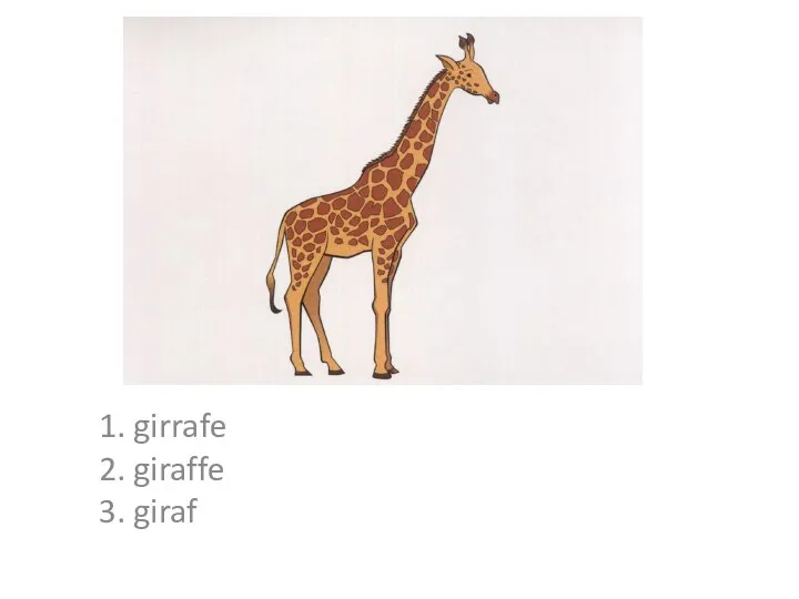 1. girrafe 2. giraffe 3. giraf