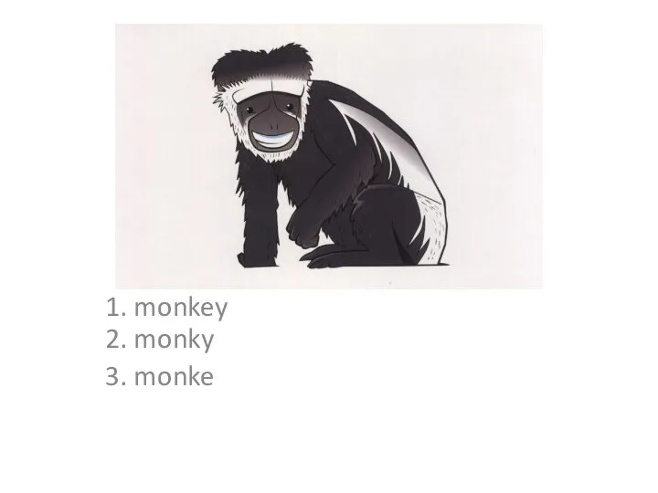 1. monkey 2. monky 3. monke