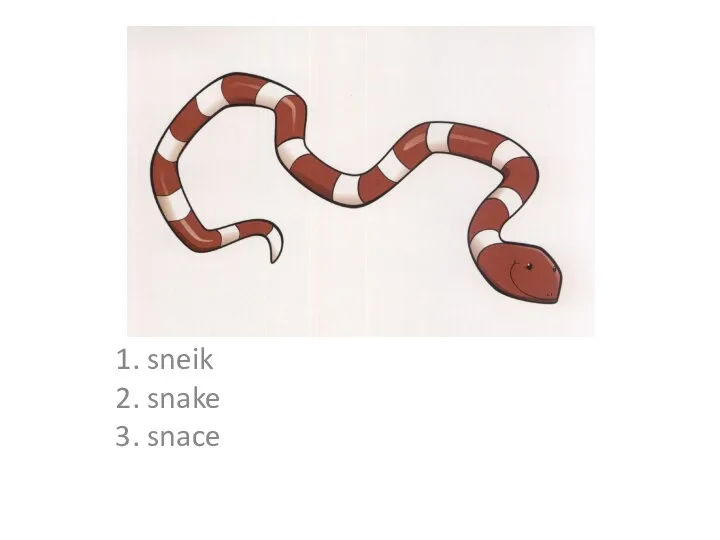 1. sneik 2. snake 3. snace