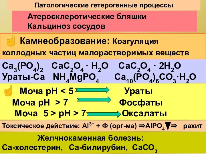 Патологические гетерогенные процессы Са3(РО4)2 СаС2О4 · Н2О СаС2О4 · 2Н2О Ураты-Са