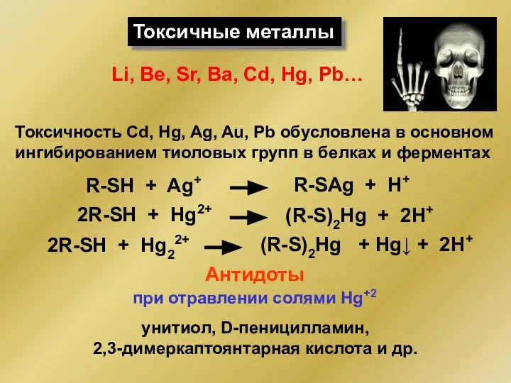 Токсичные металлы Токсичность Сd, Hg, Ag, Au, Pb обусловлена в основном