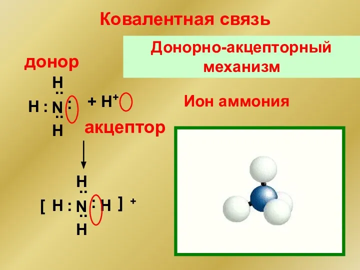 Ион аммония N .. .. : : H H H +