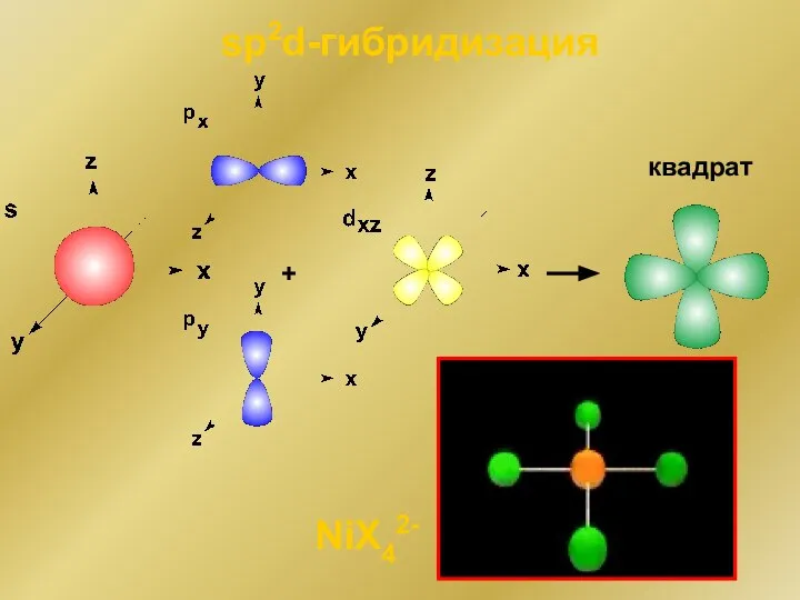 + sp2d-гибридизация квадрат NiX42-