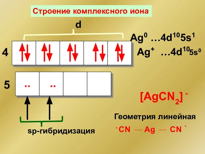 Ag+ …4d10 d 4 5 .. .. sp-гибридизация [AgCN2] - Строение