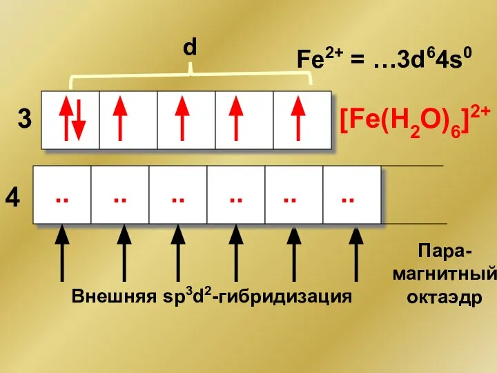 Fe2+ = …3d64s0 d 3 4 .. .. .. Внешняя sp3d2-гибридизация