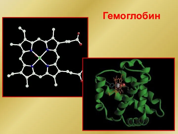 Гемоглобин