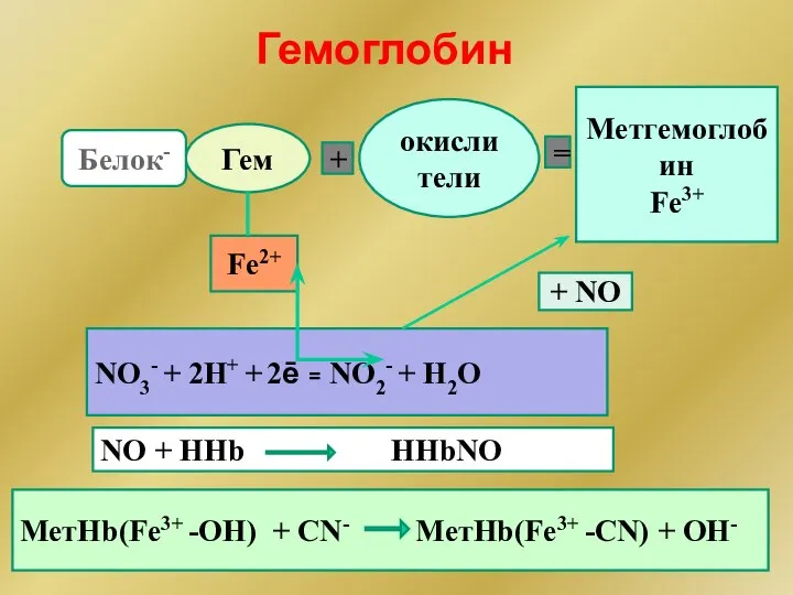 Гемоглобин Fe2+ Гем + окислители Метгемоглобин Fe3+ = Белок- NO3- +