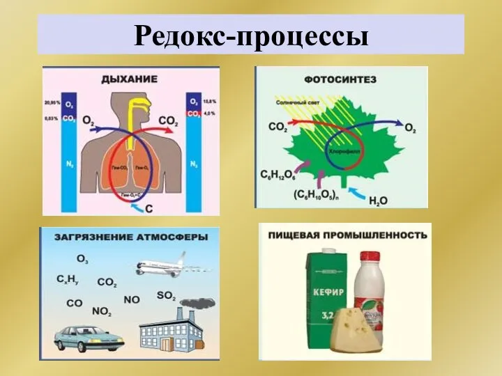 Редокс-процессы