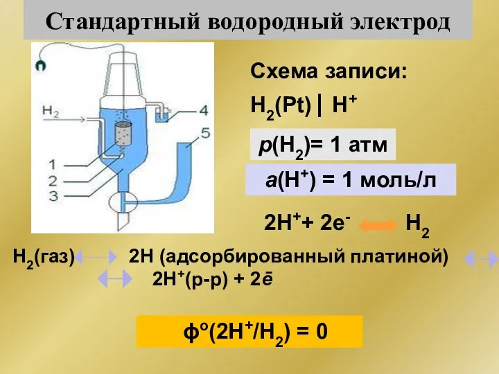 Стандартный водородный электрод Н2(газ) 2Н (адсорбированный платиной) 2Н+(р-р) + 2ē ϕо(2Н+/Н2)