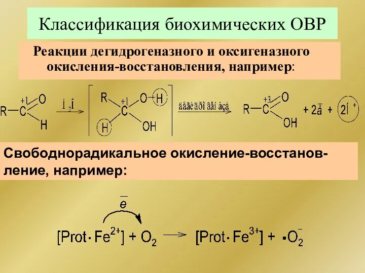 Классификация биохимических ОВР Реакции дегидрогеназного и оксигеназного окисления-восстановления, например: Свободнорадикальное окисление-восстанов- ление, например: