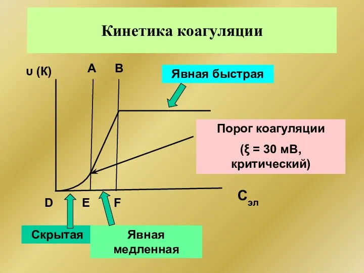 Кинетика коагуляции Сэл А В D E F Скрытая Явная медленная