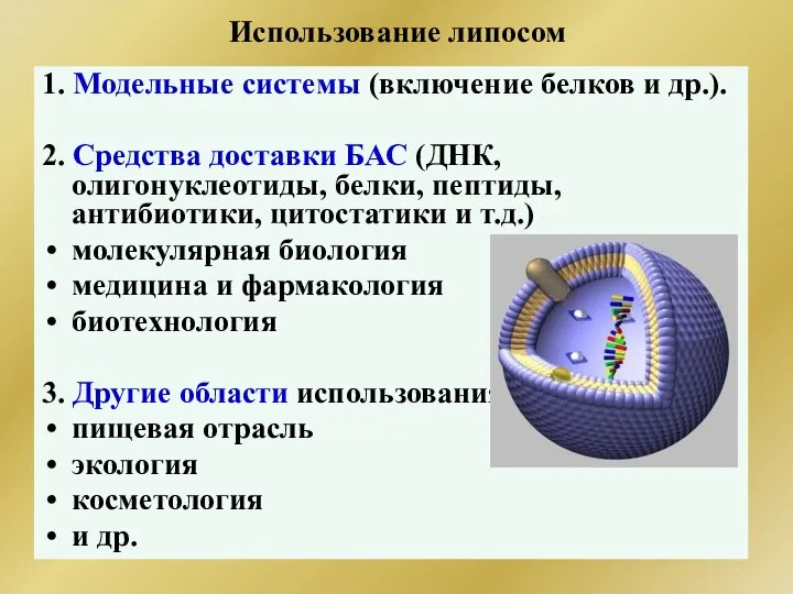 Использование липосом 1. Модельные системы (включение белков и др.). 2. Средства