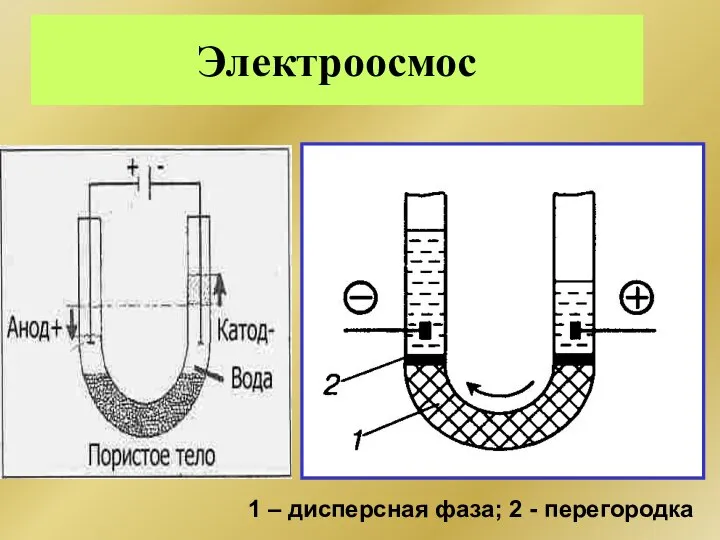 Электроосмос 1 – дисперсная фаза; 2 - перегородка