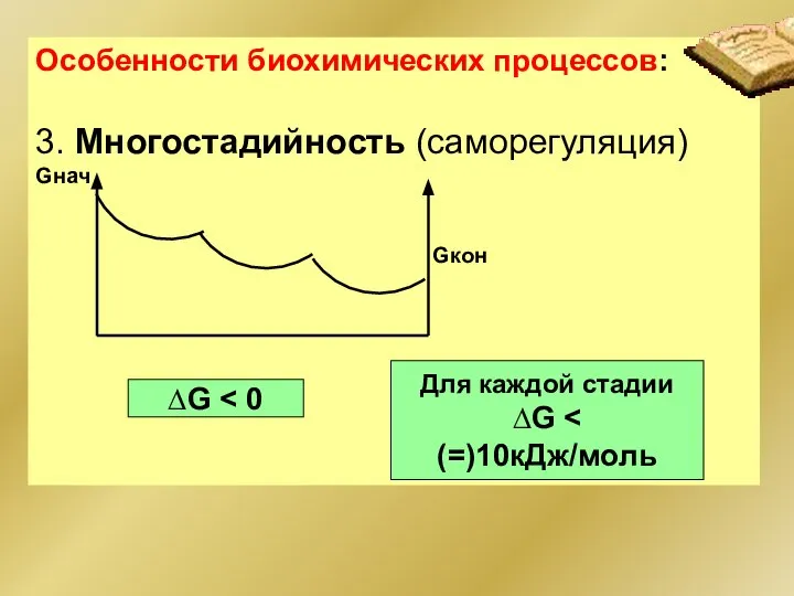 Особенности биохимических процессов: 3. Многостадийность (саморегуляция) Gнач Gкон ∆G Для каждой стадии ∆G
