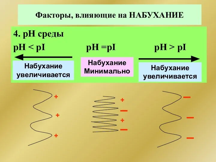 Факторы, влияющие на НАБУХАНИЕ 4. рН среды рН pI Набухание Минимально