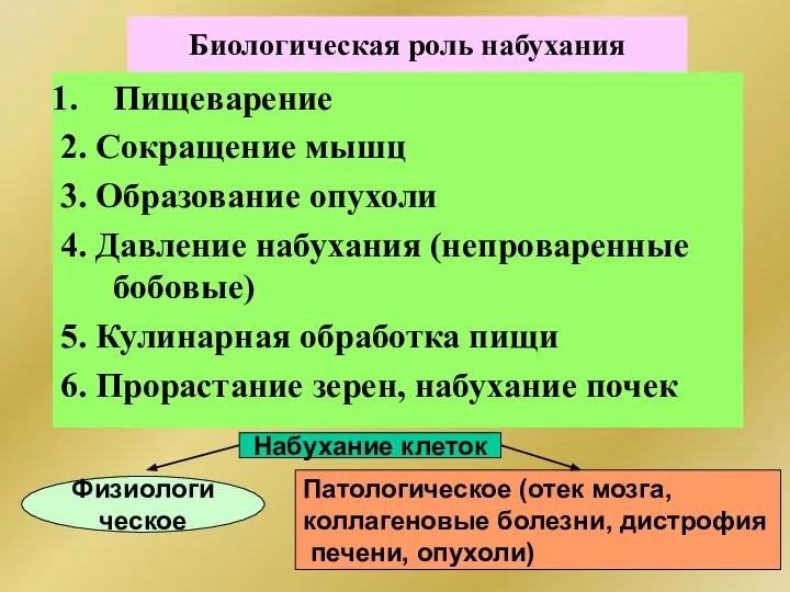 Биологическая роль набухания Пищеварение 2. Сокращение мышц 3. Образование опухоли 4.