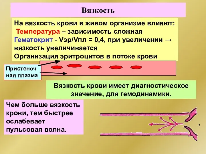 Вязкость На вязкость крови в живом организме влияют: Температура – зависимость