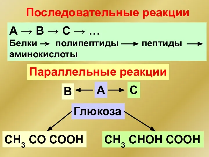 Последовательные реакции А → B → C → … Белки полипептиды