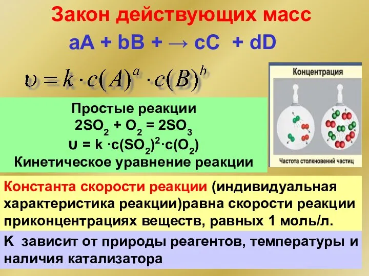 Закон действующих масс Константа скорости реакции (индивидуальная характеристика реакции)равна скорости реакции