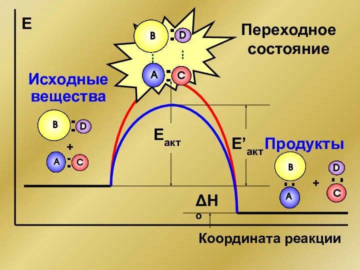 + + ΔHo Eакт Е Координата реакции Продукты Исходные вещества Переходное состояние E’акт