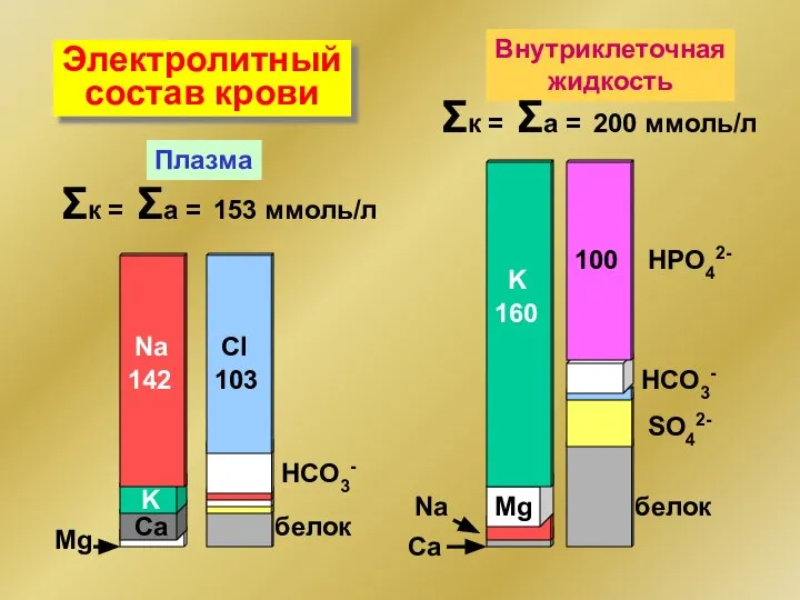 Na K Ca Ca Na Mg Mg HCO3- HCO3- Cl K