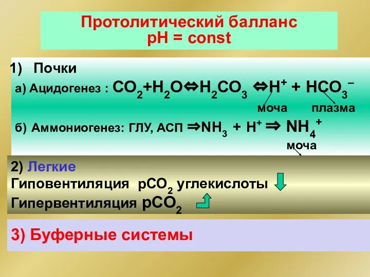 Протолитический балланс рН = const Почки а) Ацидогенез : СО2+Н2О⇔Н2СО3 ⇔Н+