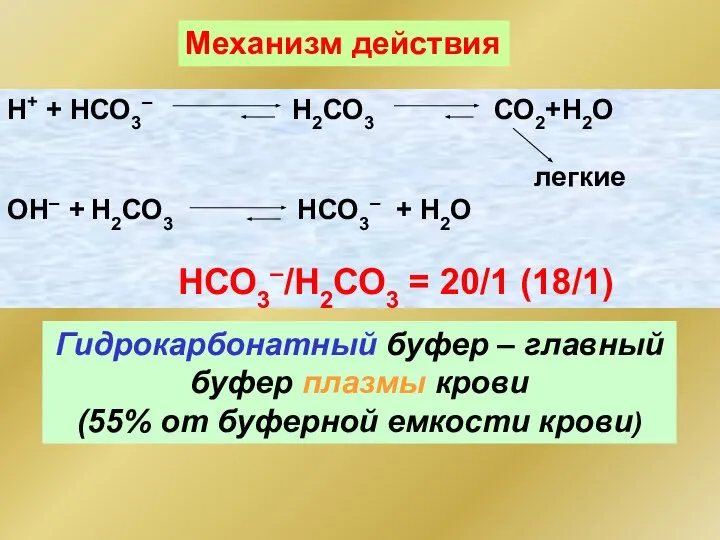 Гидрокарбонатный буфер – главный буфер плазмы крови (55% от буферной емкости