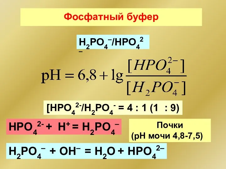 Фосфатный буфер HPO42- + H+ = H2PO4– H2PO4–/НРО42– H2PO4– + ОН–