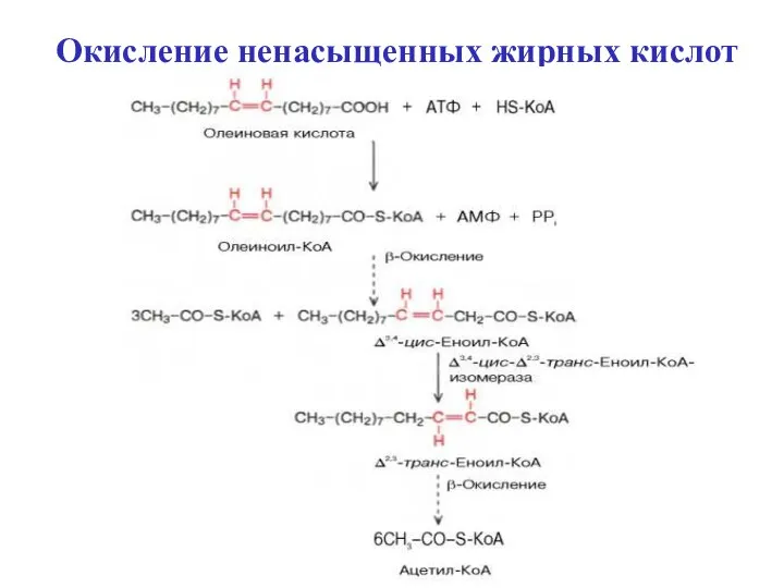 Окисление ненасыщенных жирных кислот