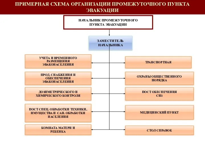 ПРИМЕРНАЯ СХЕМА ОРГАНИЗАЦИИ ПРОМЕЖУТОЧНОГО ПУНКТА ЭВАКУАЦИИ НАЧАЛЬНИК ПРОМЕЖУТОЧНОГО ПУНКТА ЭВАКУАЦИИ ЗАМЕСТИТЕЛЬ