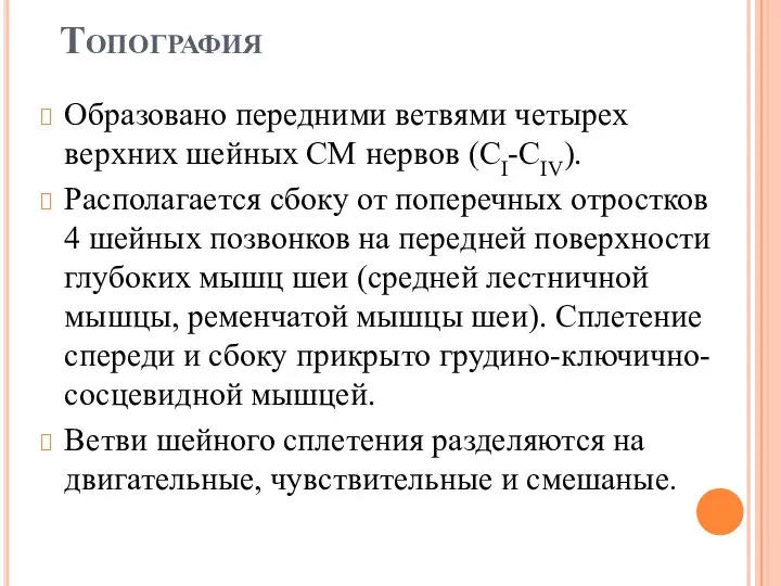 Топография Образовано передними ветвями четырех верхних шейных СМ нервов (CI-CIV). Располагается