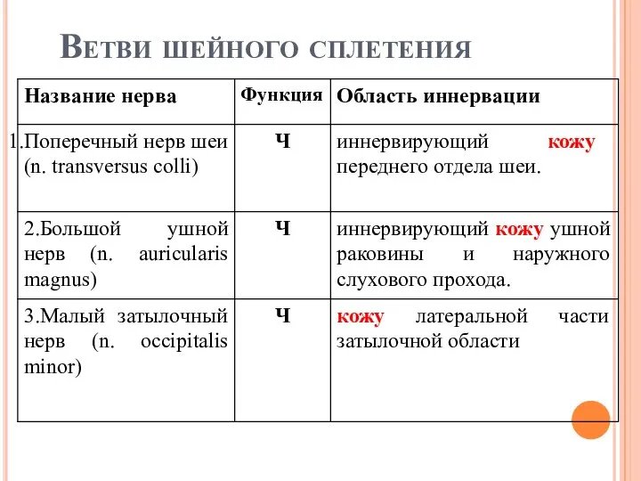 Ветви шейного сплетения