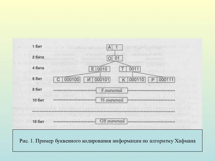 Рис. 1. Пример буквенного кодирования информации по алгоритму Хафмана