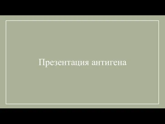 Презентация антигена