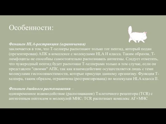 Особенности: Феномен HLA-рестрикции (ограничения) заключается в том, что Т-хелперы распознают только