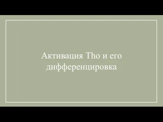 Активация Tho и его дифференцировка