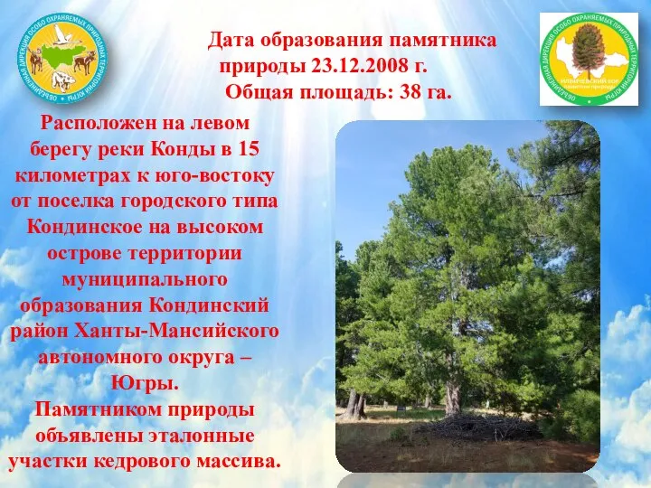 Дата образования памятника природы 23.12.2008 г. Общая площадь: 38 га. Расположен