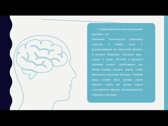 С нейропедагогической точки зрения обучение - это изменение пластичности нейронных структур