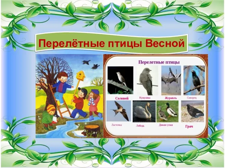 Перелётные птицы Весной