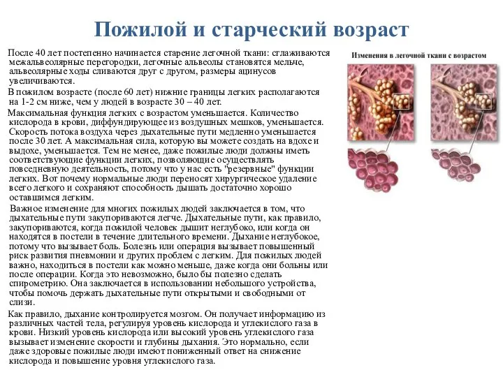 Пожилой и старческий возраст После 40 лет постепенно начинается старение легочной