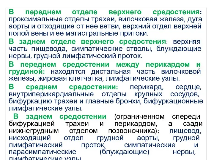 В переднем отделе верхнего средостения: проксимальные отделы трахеи, вилочковая железа, дуга