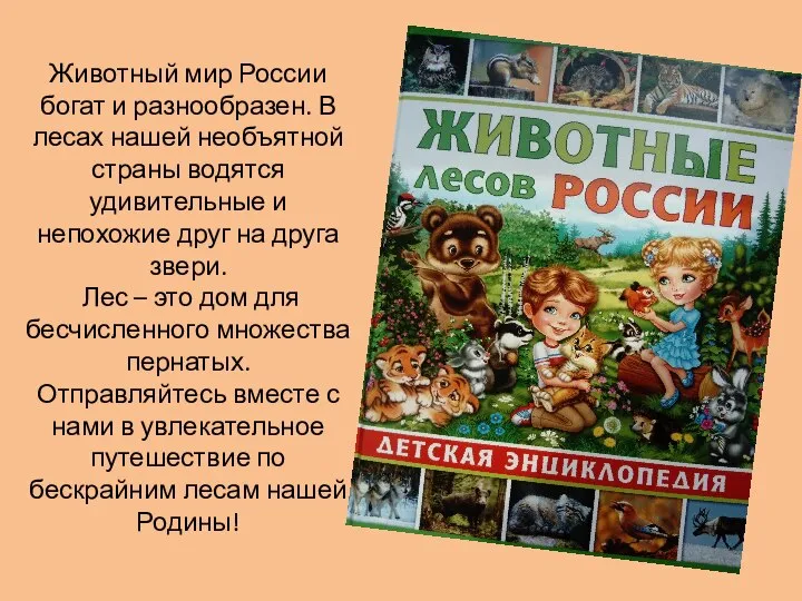 Животный мир России богат и разнообразен. В лесах нашей необъятной страны