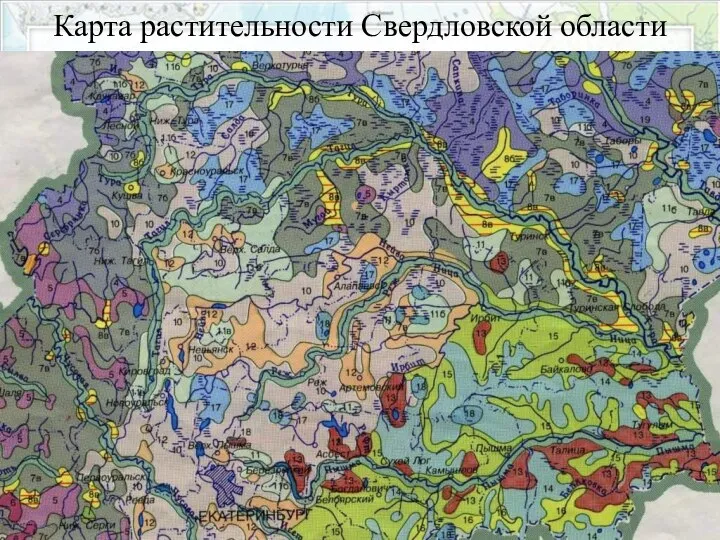 Карта растительности Свердловской области